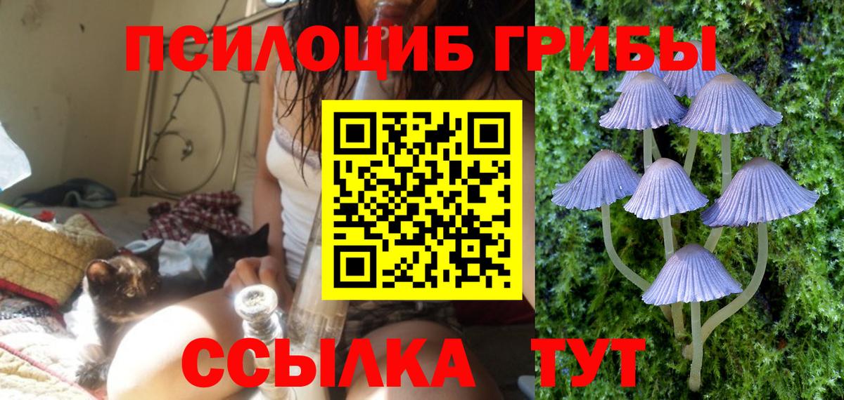 Галлюциногенные грибы MAGIC MUSHROOMS  Вход с VPN  Нерюнгри 
