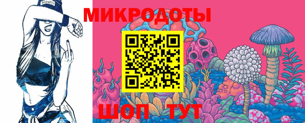 Псилоцибиновые грибы прущие грибы Нерюнгри